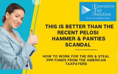 How to Work for the IRS & Steal PPP Funds from the American Taxpayers